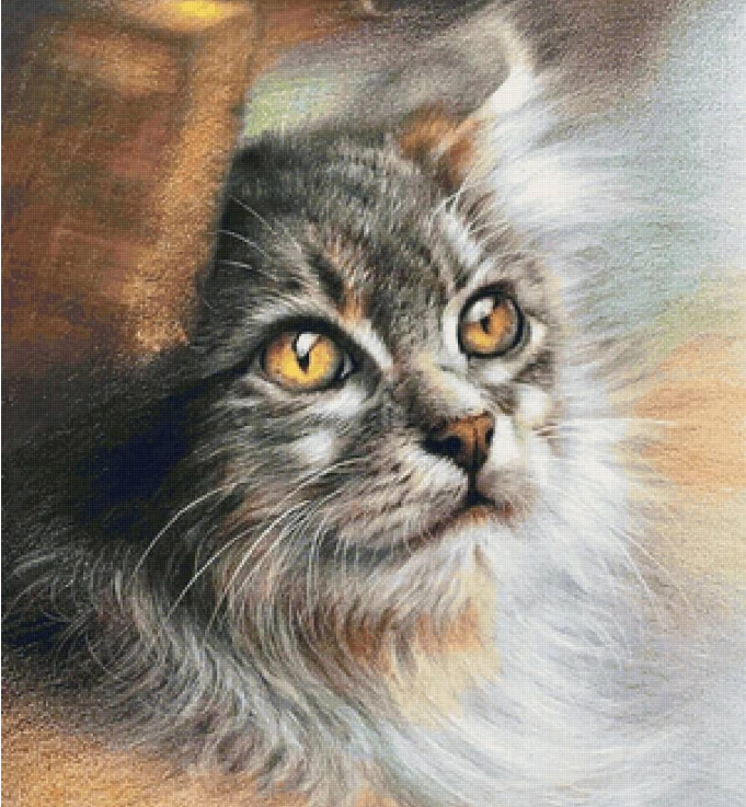 Кот спал с женой...