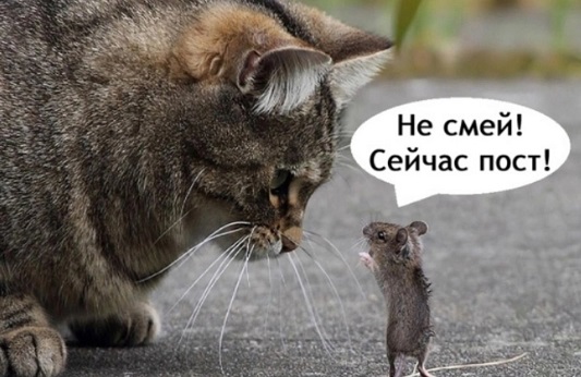 - Ложись спать. - Не могу, в интернете кто-то снова не прав - Ложись спать. - Не могу, в интернете кто-то снова не прав говорит, очень, женщины, делать, мужчина, мужчины, Пусть, какие, когда, Первый, времени, всегда, девушки, сделать, Американский, девушке, мужик, люблю, чемпион, время