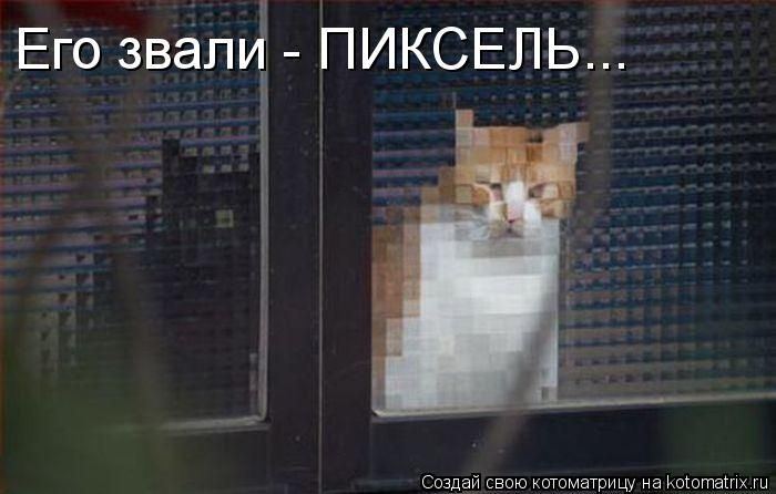 Котоматрица. Мысли вслух :) 