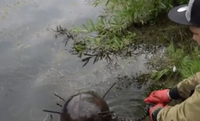 Забросили магнит и поймали опасность: вытаскивали грузовиком Забросили магнит и поймали опасность: вытаскивали грузовиком Культура