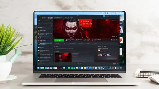В октябре прекратится поддержка Steam для macOS Big Sur 11 2020 года