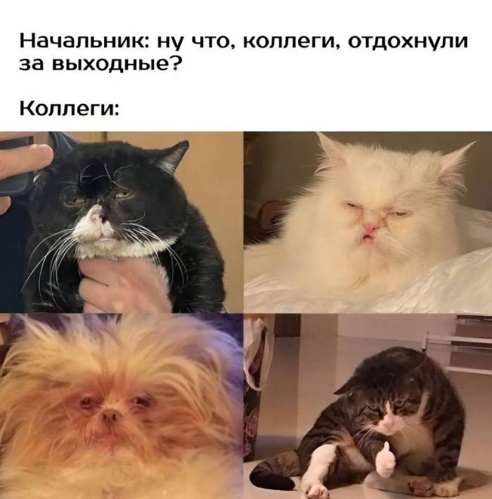 Смешные картинки с надписями и парни с ногами Смешные картинки с надписями и парни с ногами