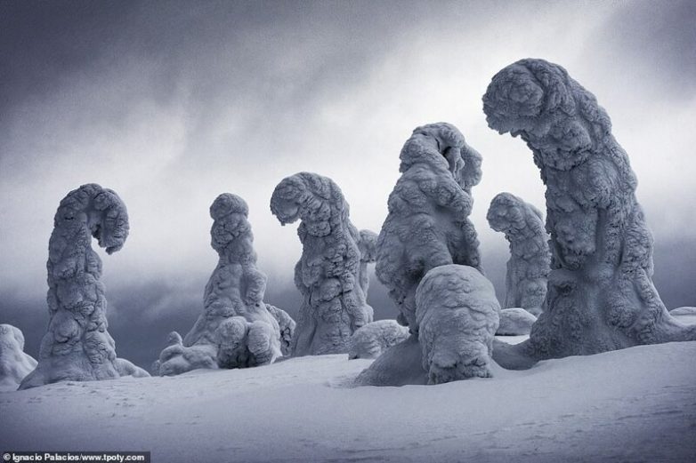 Наша прекрасная планета: лучшие тревел-фотографии 2019 года мир,путешествие,фототревел