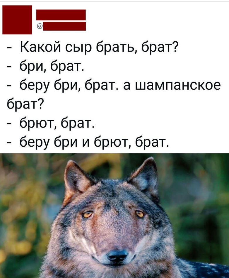 Картинки прикольные с надписями, ржачные до слез Картинки прикольные с надписями, ржачные до слез