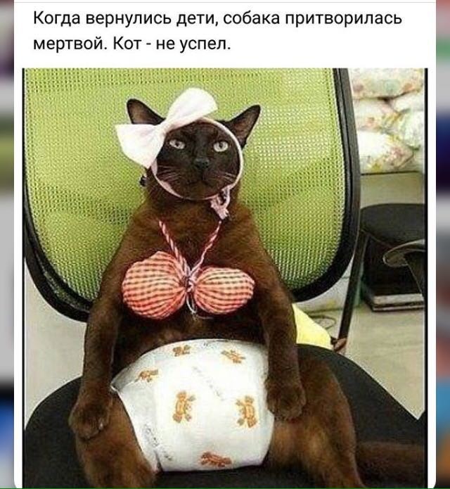 Всякая всячина демотиваторы, прикол, юмор