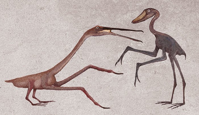 Птицы динозавры, доисторические животные, доисторические существа, интересное, палеонтология, рисунки, художник
