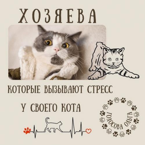 Хозяева, которые вызывают стресс у своего кота.