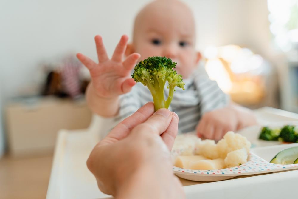 «Что ты будешь есть?»: почему детям до 5 лет вредно давать возможность выбора ребенка, выбор, родители, детей, можно, больше, ребенку, делать, самое, часто, слишком, рамок, здесь, полезно, вариантов, нужно, детей —, решений, чтобы, свобода