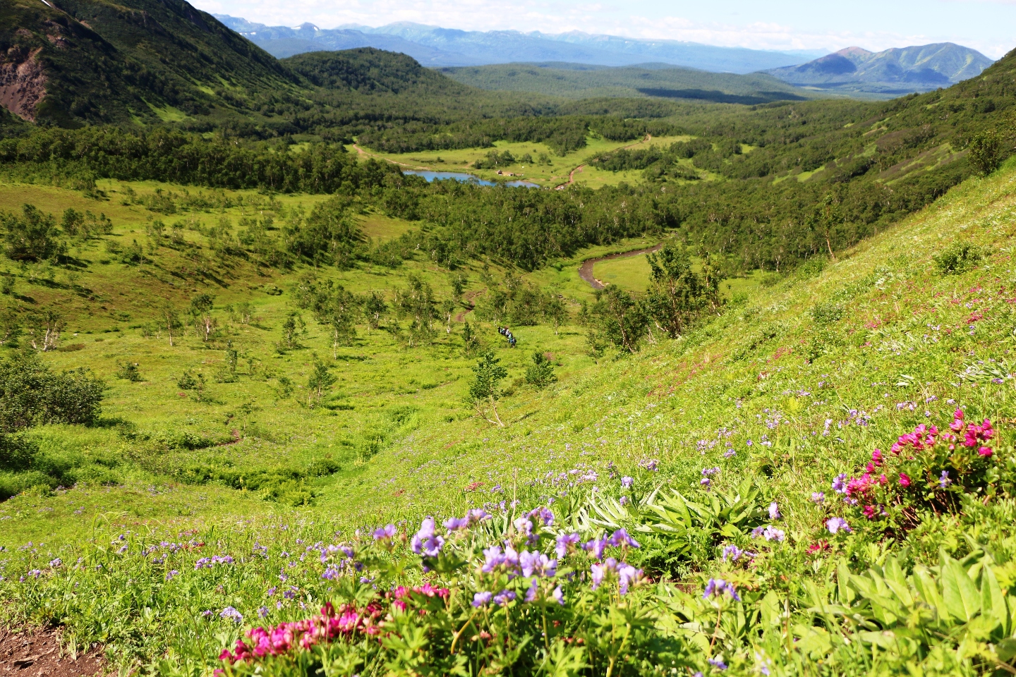 Камчатка. Часть 2. Медведи на планете вулканов. 