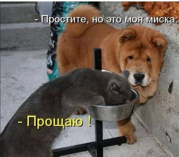 Улыбаемся шире!