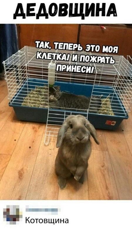 Свежие клевые картинки 