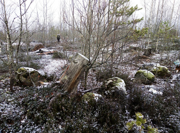 ÐÐ´Ð¸Ð½ Ð¸Ð· Ð¿Ð¾Ð´Ð¾Ð·ÑÐ¸ÑÐµÐ»ÑÐ½ÑÑ Ð¿Ð½ÐµÐ¹