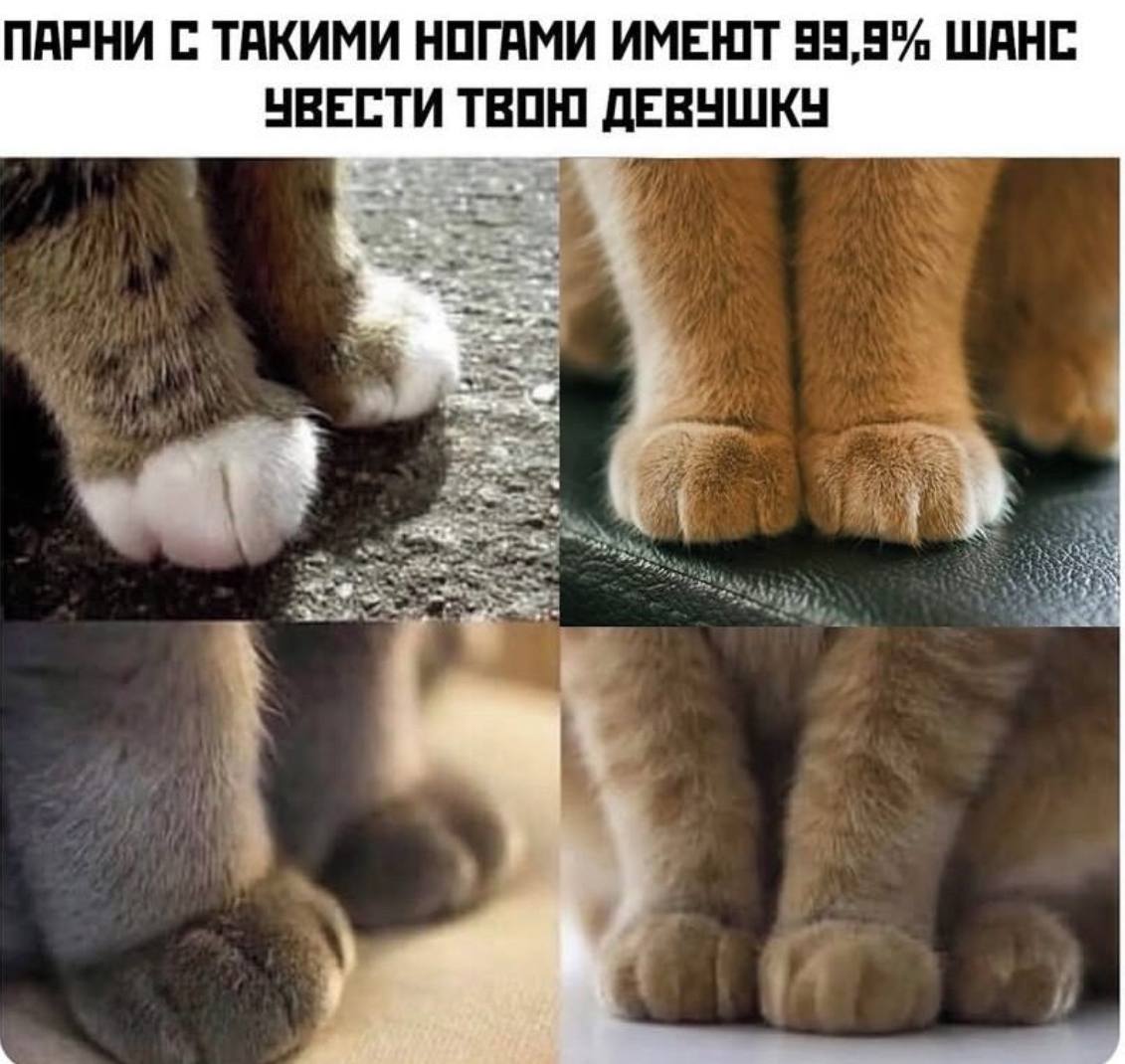 Смешные картинки с надписями и парни с ногами Смешные картинки с надписями и парни с ногами