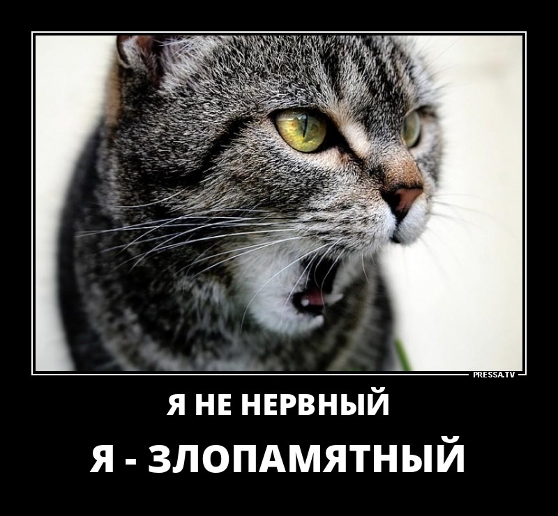 Забавные позитивные демотиваторы о жизни для хорошего настроения Забавные позитивные демотиваторы о жизни для хорошего настроения