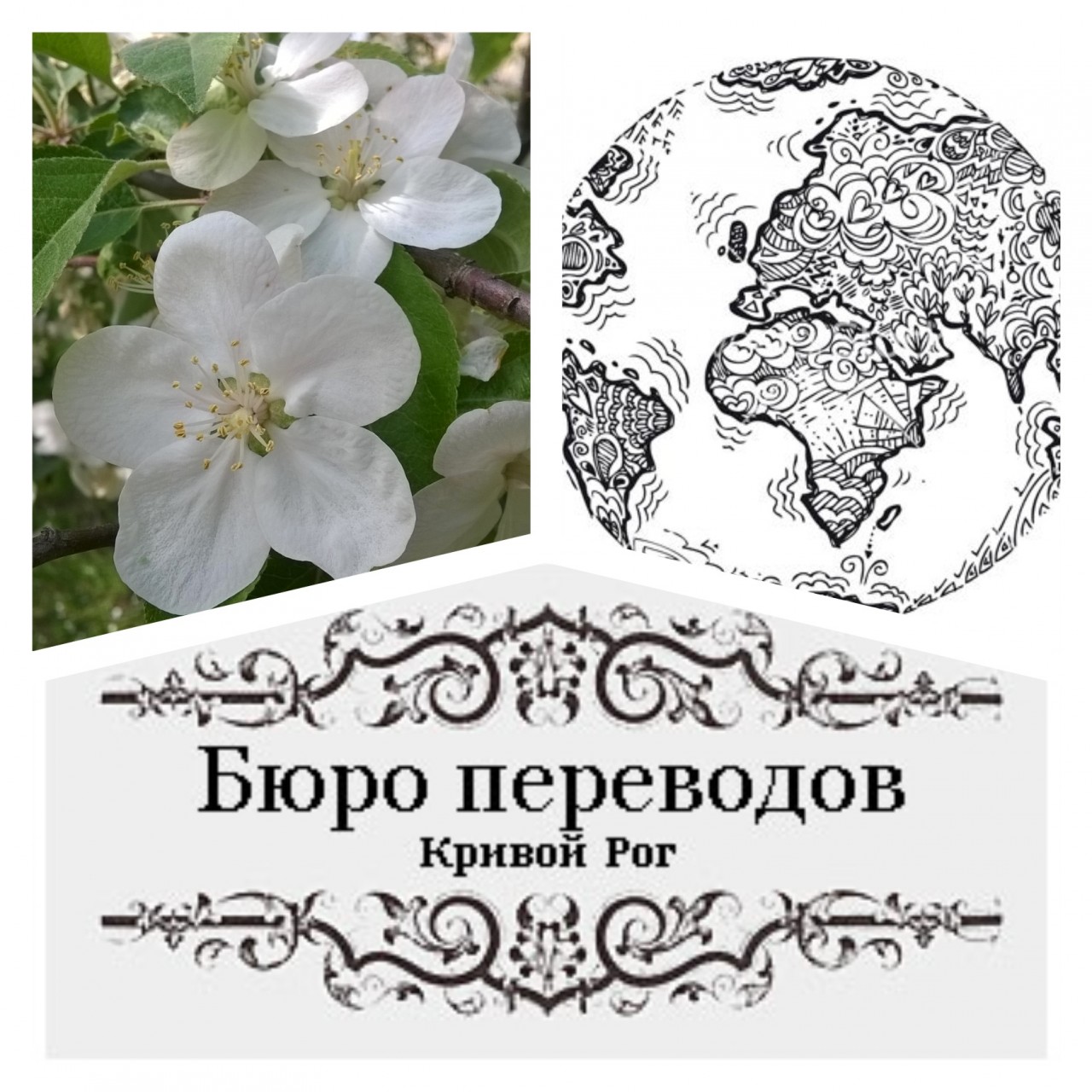 письменные переводы