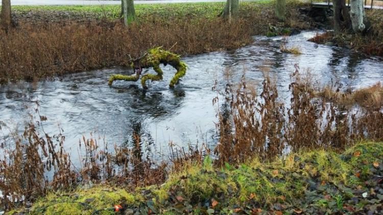 Ни грамма фотошопа Ни грамма фотошопа