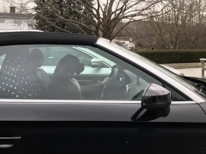 Фотоподборка пятницы на конец осени Фотоподборка пятницы на конец осени