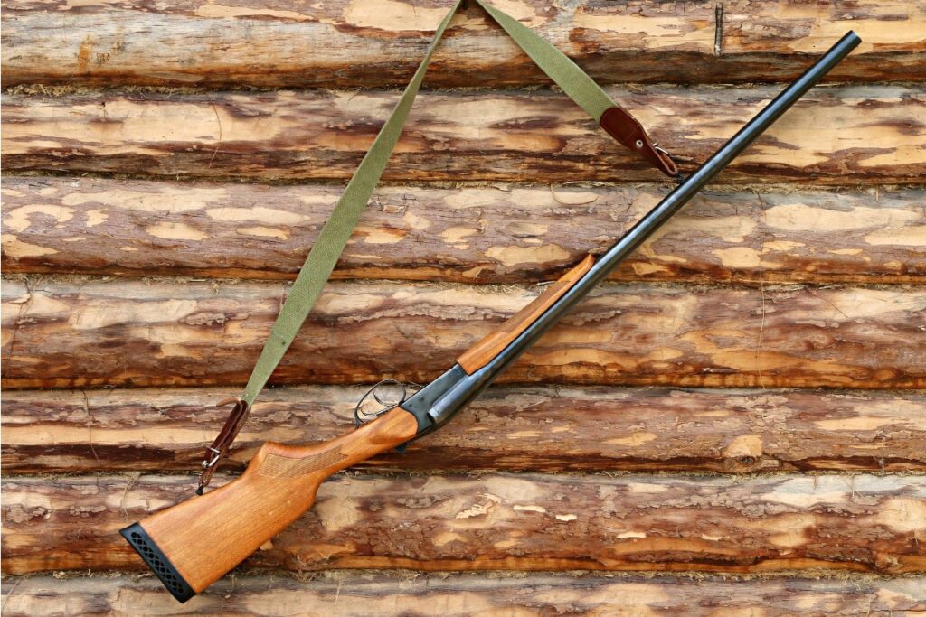 Женщина прострелила из ружья голову своей собаки в Ленобласти