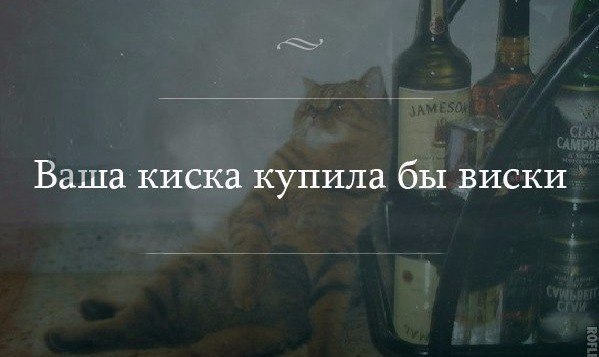 Настоящий джентельмен - это тот, кто кошку всегда называет кошкой, даже если он о нее споткнулся и упал...)) веселые картинки