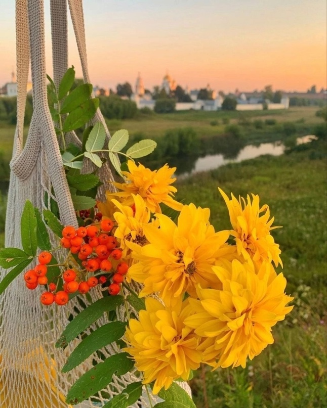 ПЛАТОН