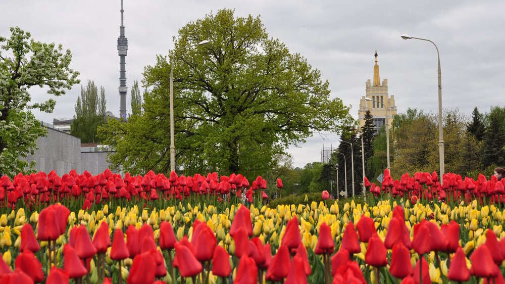 Синоптик Тишковец: настоящая весна придет в Центральную Россию в середине мая