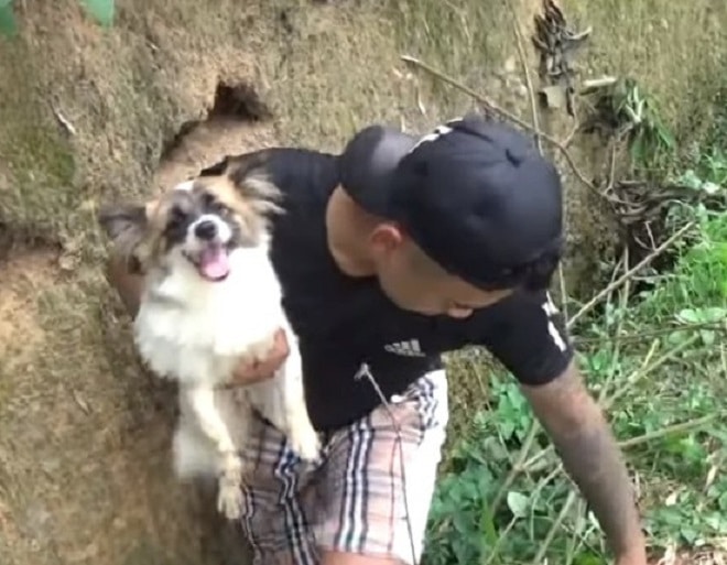 Мужчина и пес