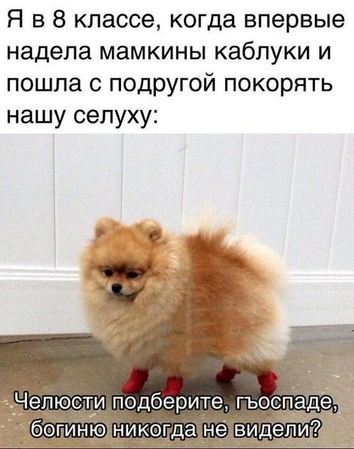 Классные смешные картинки