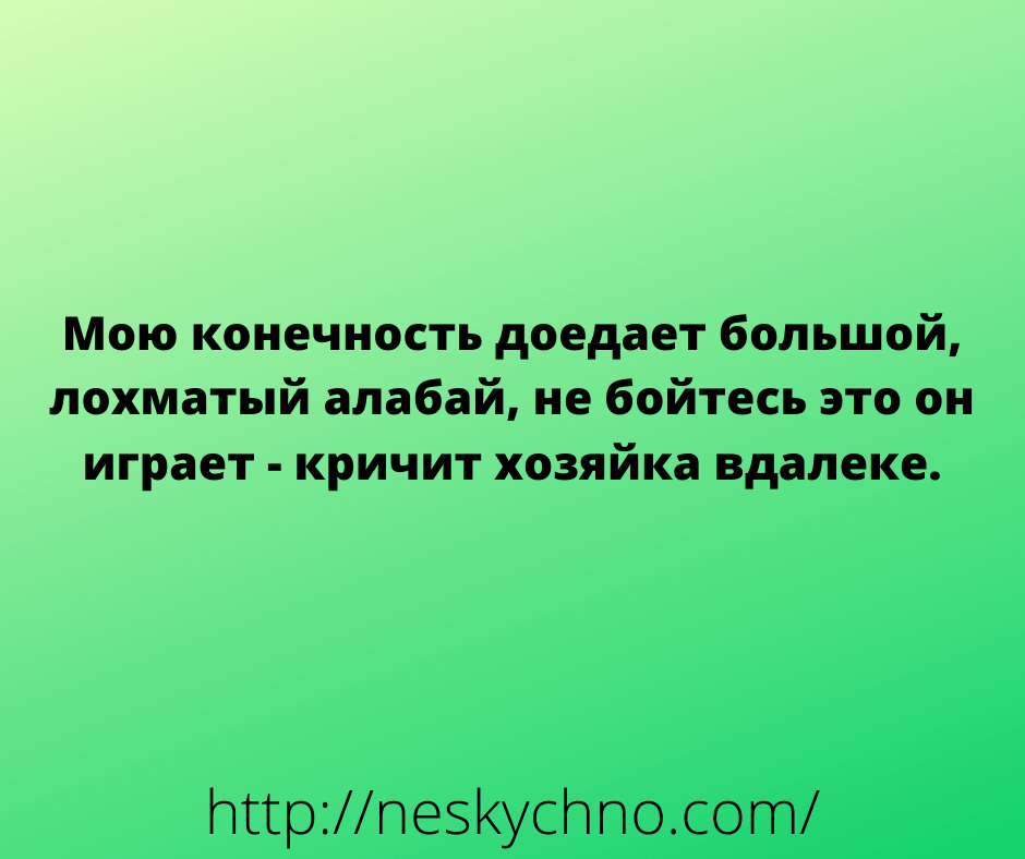 Немного отборных анекдотов для поддержания настроения 