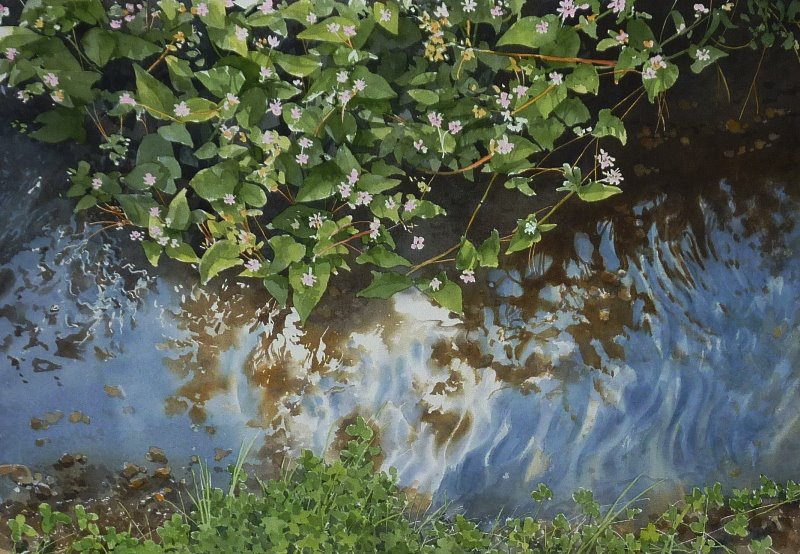 Картины, залитые теплом и светом. Художник Абе Тошиюки 