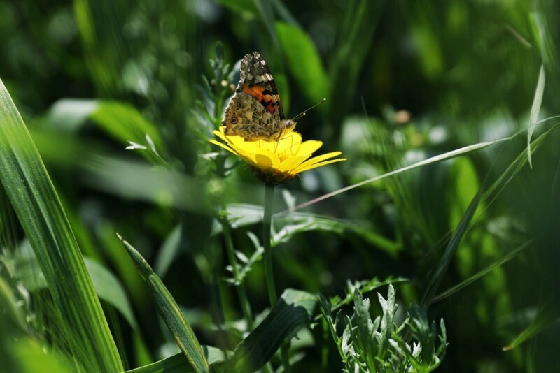 Эмоциональные фотографии для отличного настроения Эмоциональные фотографии для отличного настроения фотография