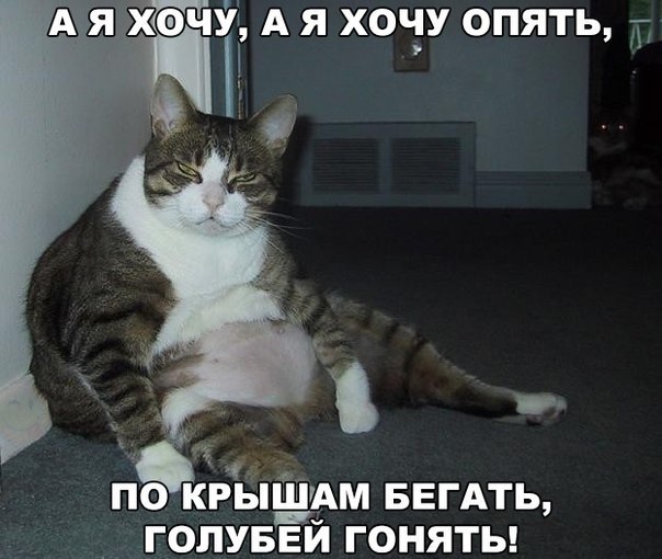 Картинки объелся