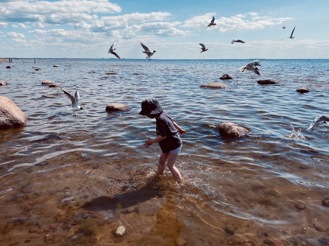 Советская дача в Комарово, которую фотограф арендовала на лето в Комарово, здесь, с подругой, время, Комарово, который, петербуржцев, остается, дачников, пространство, поселок, геолог, красивая, мебель, этаже —, стоит, участка, посередине, правильной, Поселок