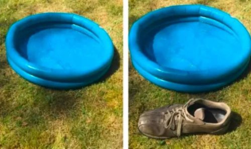 Ожидания vs. реальность: разочаровательные онлайн-покупки 