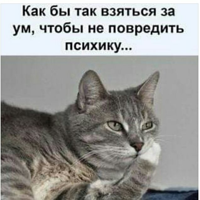 - Мадам Циперович, и скоко это, страшно сказать, будет мине стоить?... говорит, спрашивает, одной, Мойша, мальчик, отвечает, Учитель, Мальчик, подряд, Миллионера, после, участковый, Мадам, школу, домой, зовут, месте, Мухамед, Конечно, такие