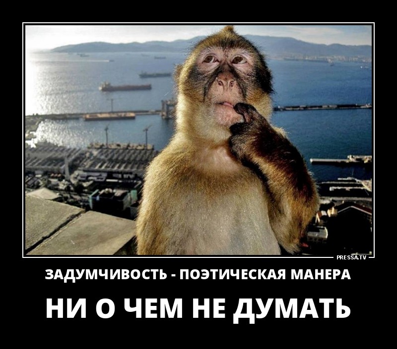 Забавные позитивные демотиваторы о жизни для хорошего настроения Забавные позитивные демотиваторы о жизни для хорошего настроения