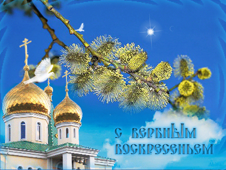Гифы с вербным