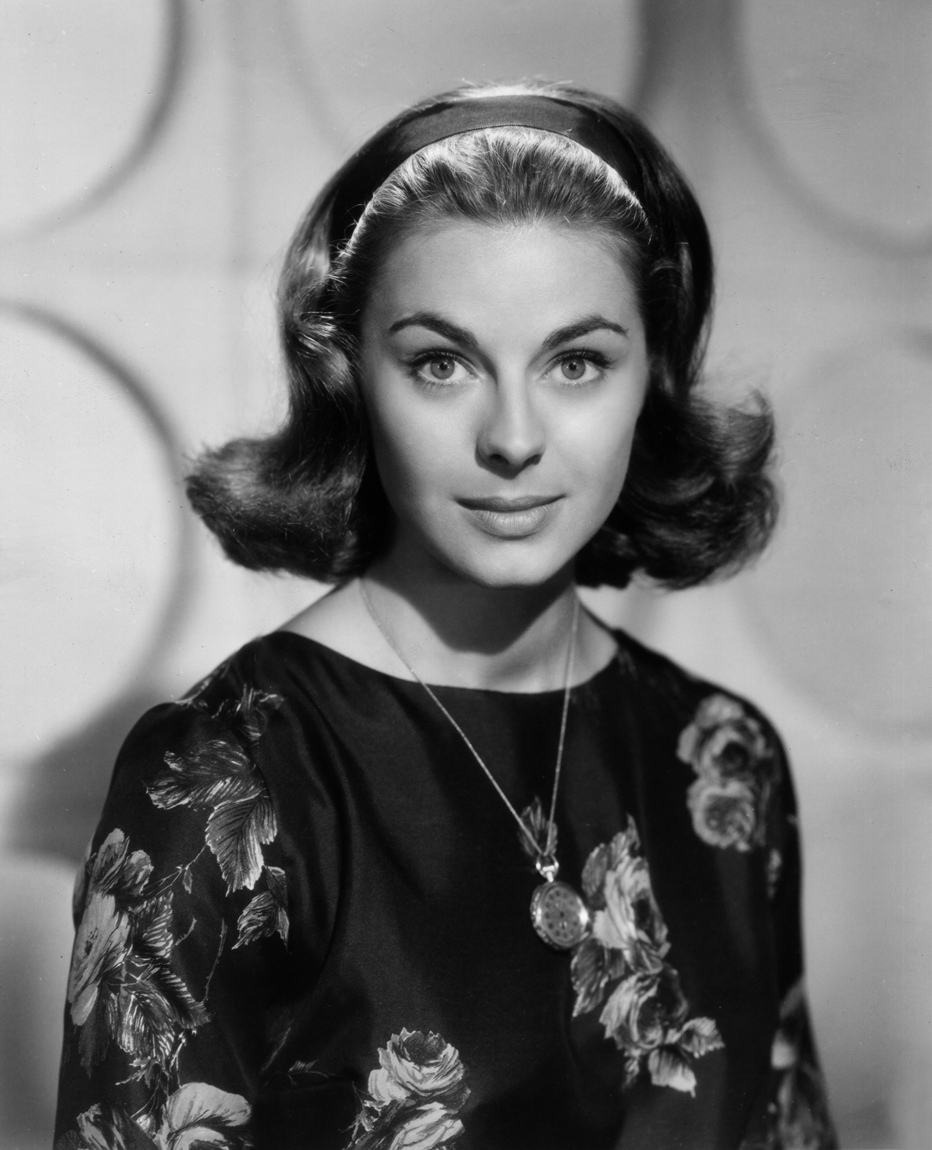 Красавица из 60-х Мишель Жирардон Красавица из 60-х Мишель Жирардон