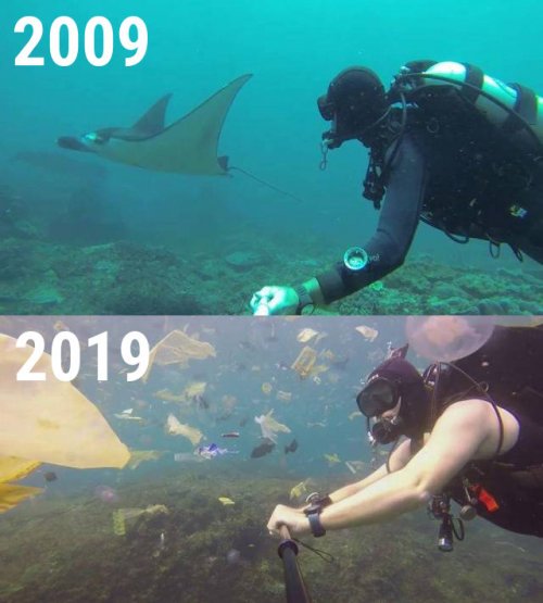 Такие прикольные картинки 2009/2019 Такие прикольные картинки 2009/2019 истории из жизни