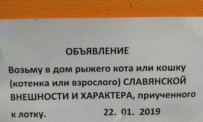 Эти снимки поймут только русские Эти снимки поймут только русские картинки