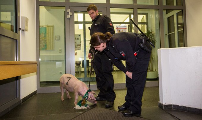 View image on Twitter