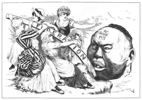 "Акт об исключении китайцев". США.  1882 год