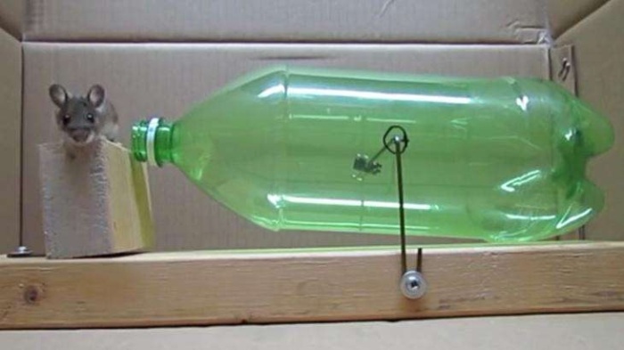 Вечный фонарик из пластиковой бутылки, и еще 5 вариантов ее необычного применения бутылки, можно, нужно, использовать, сделать, чтобы, бутылка, которую, будет, проволоки, помощью, Затем, этого, бутылку, пластиковых, бутылок, которая, пластиковой, может, несколько