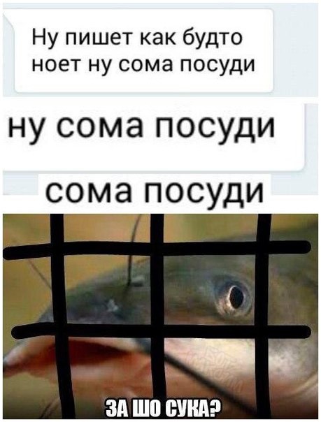 Смешные комментарии из социальных сетей весело, прикол, юмор