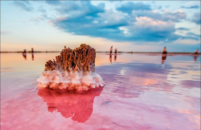 Великолепие крымского «гнилого моря» 25 фотографий озера Сиваш интересное