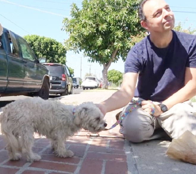 Пес и мужчина