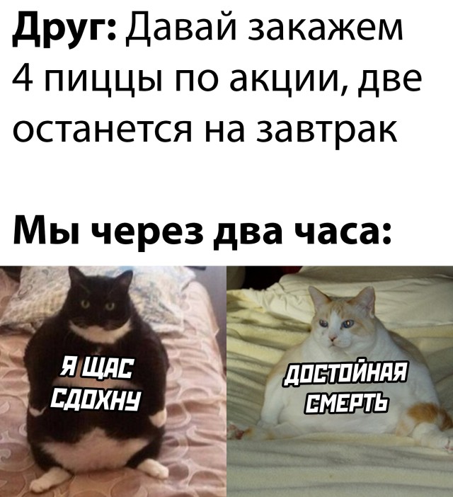 Подборка прикольных картинок 