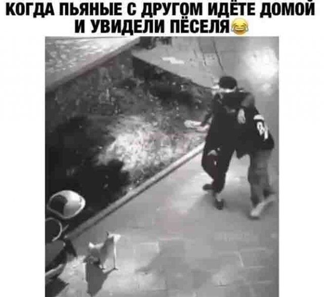 Шутки и мемы про алкоголь Шутки и мемы про алкоголь позитив,смешные картинки,юмор