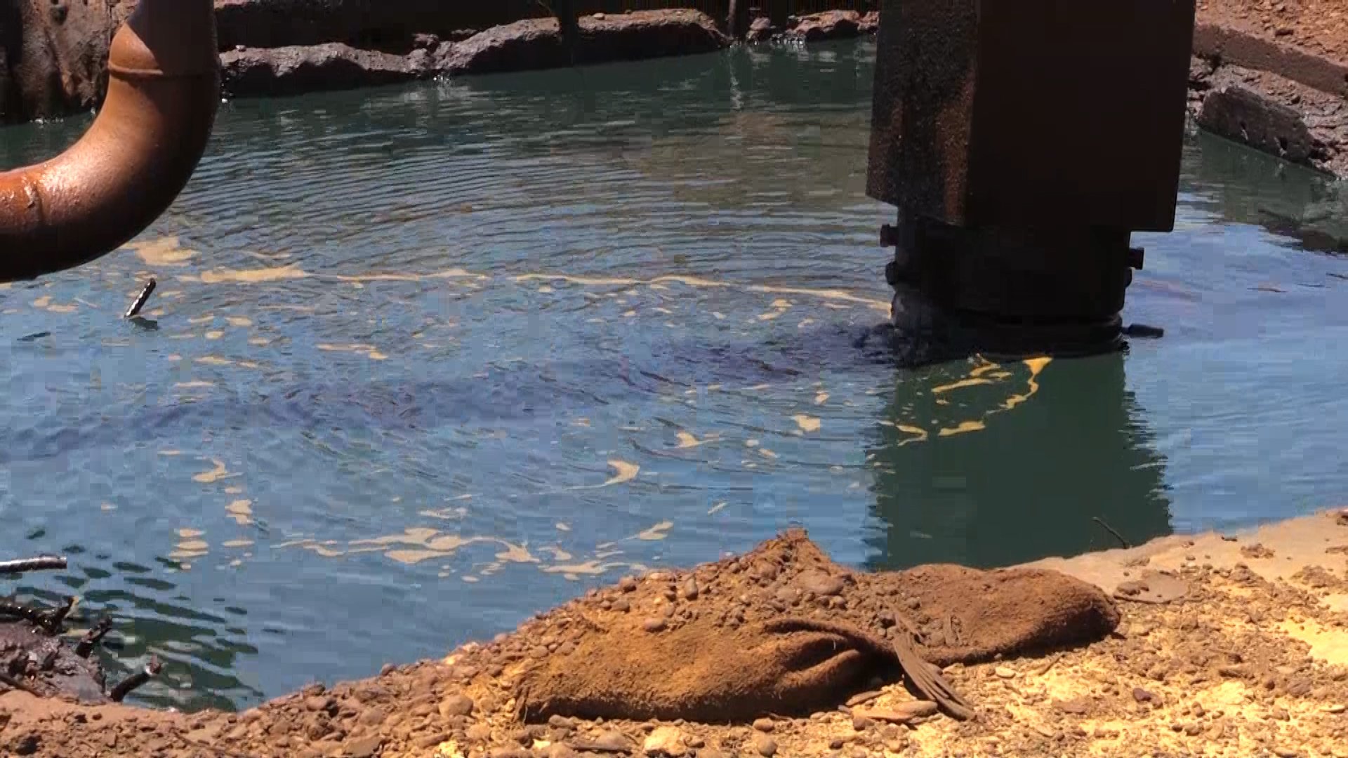 Трамп соблазнился нефтяными полями и забыл об обещании уйти из Сирии Трамп соблазнился нефтяными полями и забыл об обещании уйти из Сирии новости,события