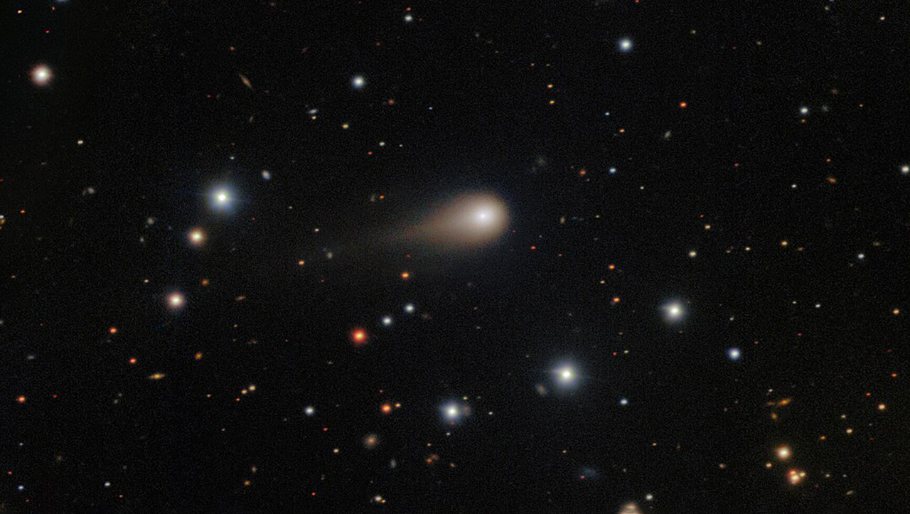 как обнаружили