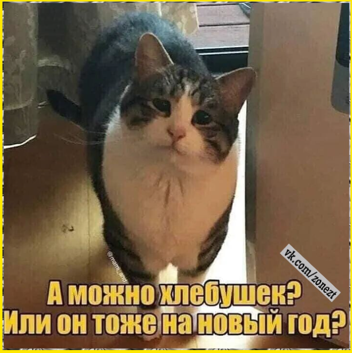 Не трогайте меня... это на Новый год! 